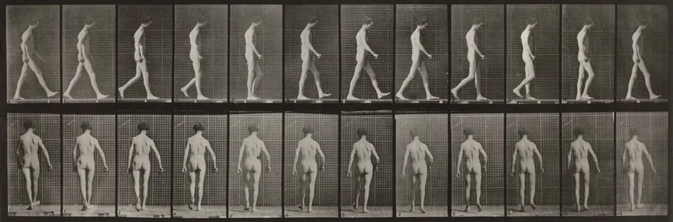 Plate Number 546. Locomotor ataxia, walking by Eadweard Muybridge
