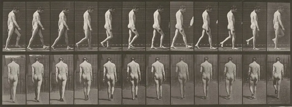 Plate Number 549. Locomotor ataxia, walking by Eadweard Muybridge