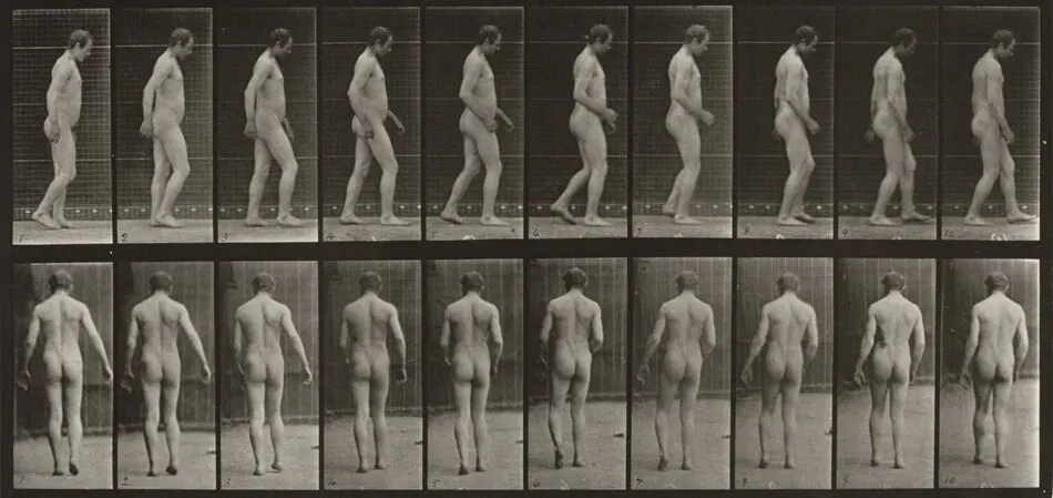Plate Number 553. Spastic, walking by Eadweard Muybridge