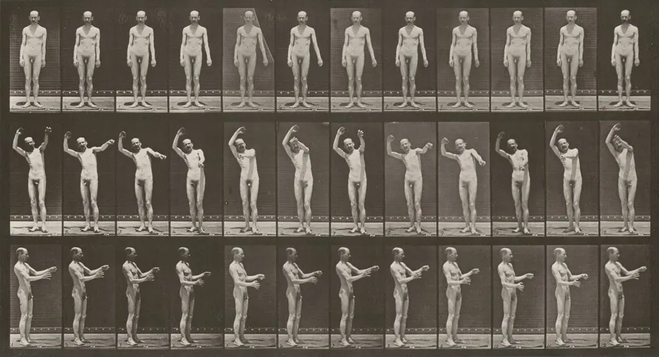 Plate Number 557. Local chorea, standing by Eadweard Muybridge