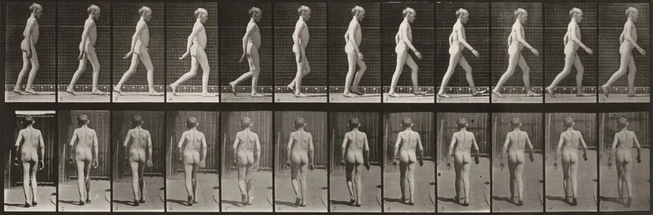Plate Number 562. Lateral curvature of spine, walking by Eadweard Muybridge