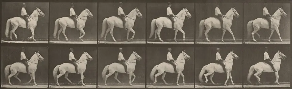 Plate Number 577. "Clinton" walking, mounted, irregular by Eadweard Muybridge