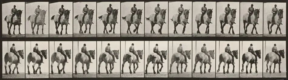 Plate Number 578. "Dusel" walking, bareback by Eadweard Muybridge