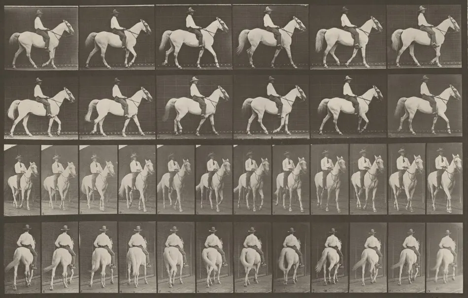 Plate Number 579. "Elberon" walking, saddled by Eadweard Muybridge