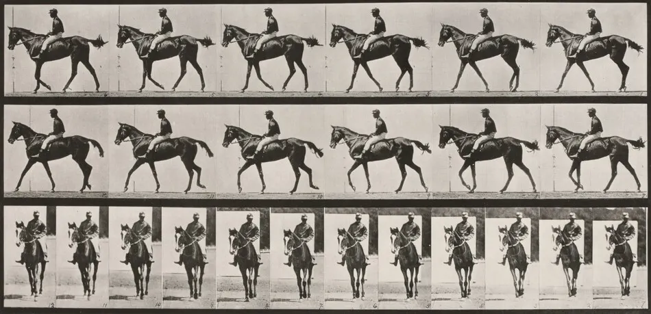 Plate Number 580. " Annie G." walking, saddled by Eadweard Muybridge