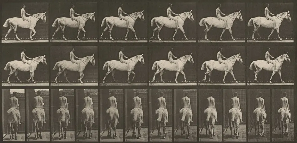 Plate Number 581. "Smith" walking, bareback; rider nude by Eadweard Muybridge