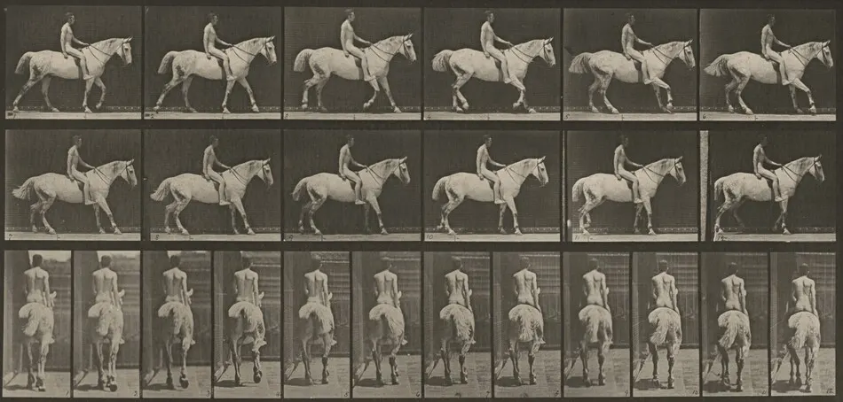 Plate Number 582. "Smith" walking, saddled; rider nude by Eadweard Muybridge
