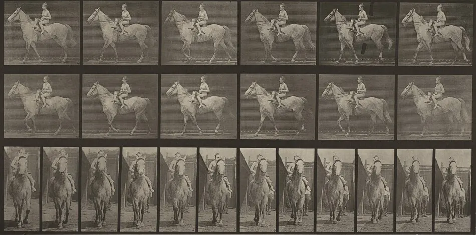 Plate Number 583."Tom" walking, saddled; female rider nude by Eadweard Muybridge