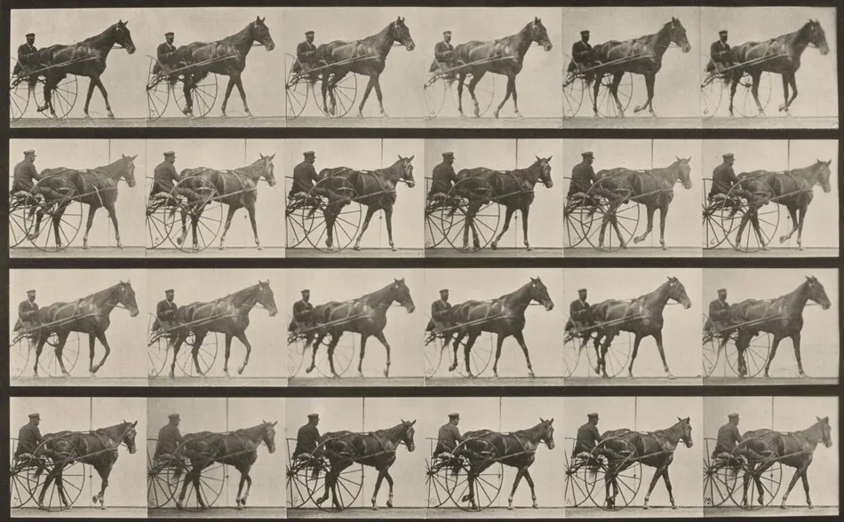 Plate Number 587. "Nellie Rose" walking, harnessed to sulky by Eadweard Muybridge
