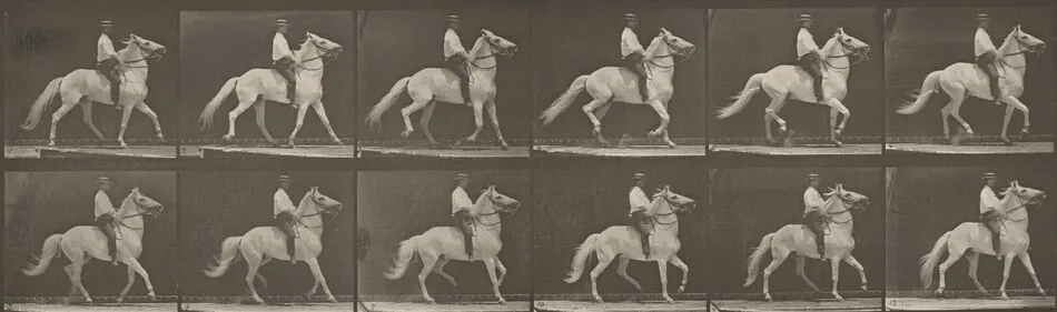 Plate Number 589. "Clinton" ambling, bareback by Eadweard Muybridge