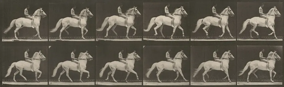 Plate Number 590. "Clinton" ambling, bareback; rider nude by Eadweard Muybridge