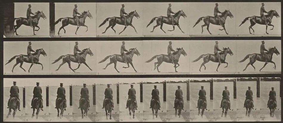 Plate Number 592. "Pronto" pacing, saddled by Eadweard Muybridge