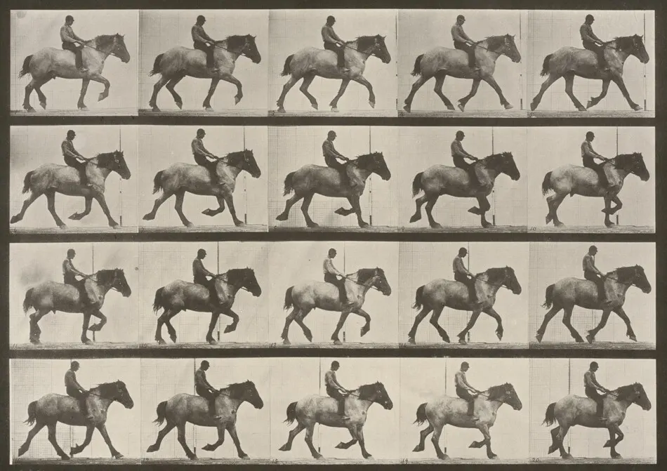 Plate Number 597. "Hansel" trotting, bareback by Eadweard Muybridge