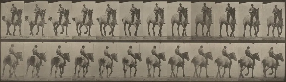 Plate Number 600. "Dusel" trotting, bareback by Eadweard Muybridge