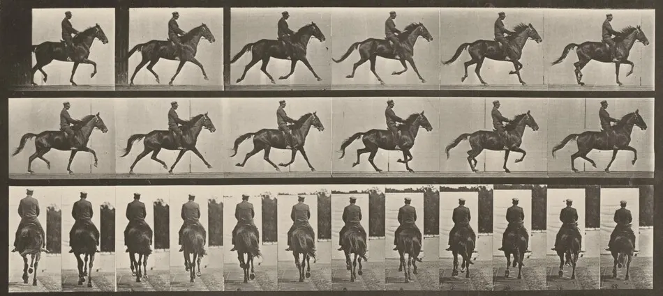 Plate Number 601. "Beauty" trotting, saddled by Eadweard Muybridge