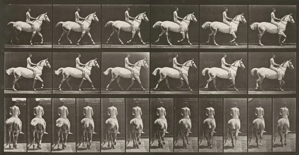 Plate Number 602. "Smith" trotting, bareback; rider nude by Eadweard Muybridge