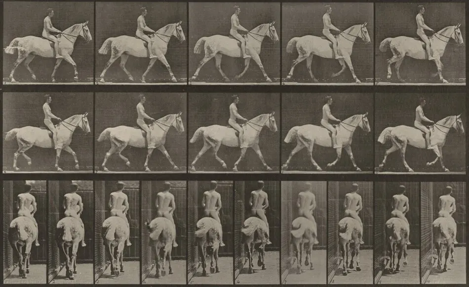 Plate Number 603. "Smith" trotting, saddled; rider nude by Eadweard Muybridge