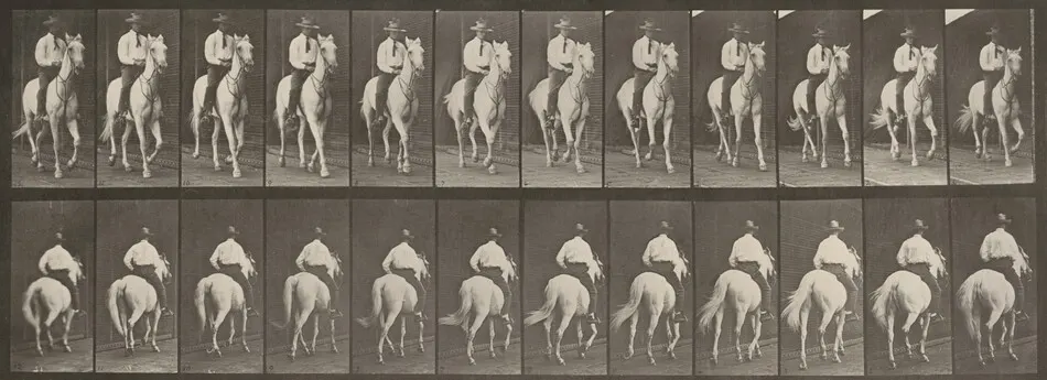 Plate Number 604. "Elberon" trotting, saddled by Eadweard Muybridge