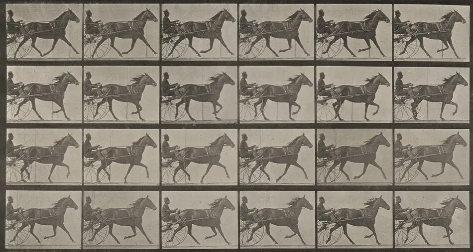 Plate Number 607. "Lizzie M." trotting, harnessed to sulky by Eadweard Muybridge