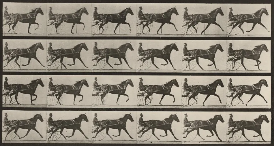 Plate Number 608. "Flode Holden" trotting, harnessed to sulky by Eadweard Muybridge