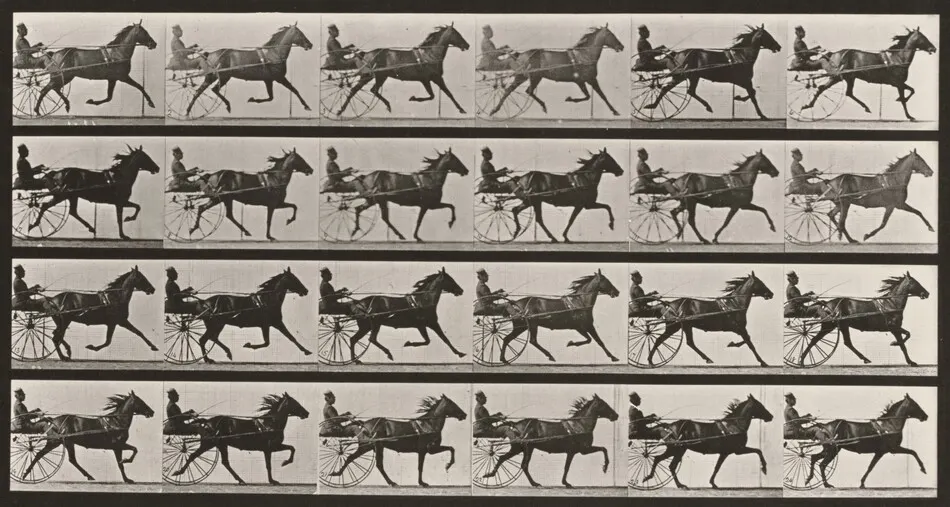 Plate Number 609. "Lizzie M." trotting, harnessed to sulky by Eadweard Muybridge