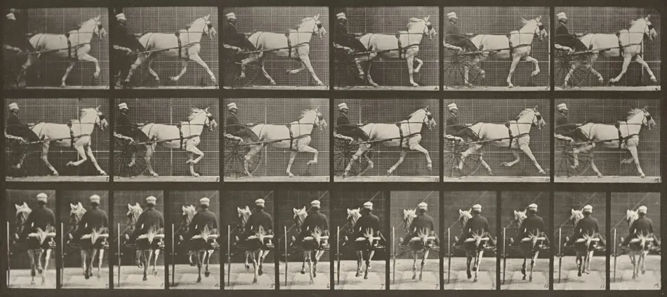 Plate Number 611. "Katydid" trotting, harnessed to sulky by Eadweard Muybridge