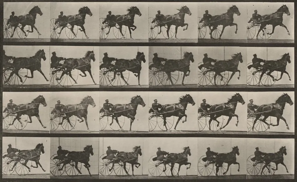 Plate Number 613. "Nellie Rose" trotting, harnessed to sulky by Eadweard Muybridge
