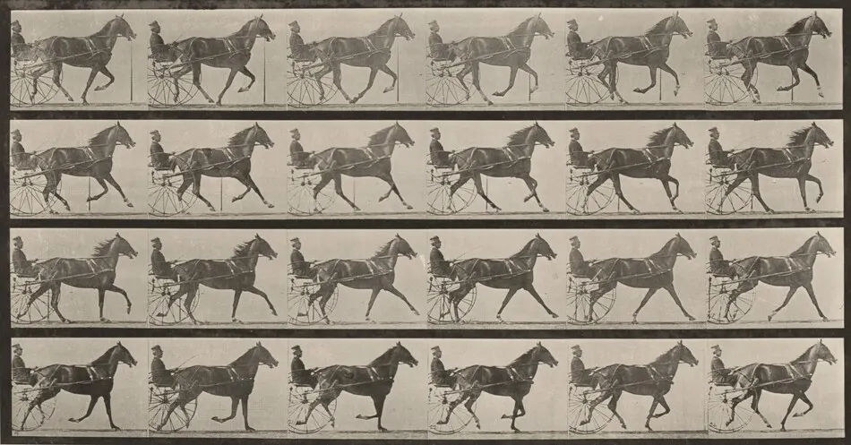 Plate Number 614. "Flode Holden" trotting, harnessed to sulky, breaking into a gallop by Eadweard Muybridge