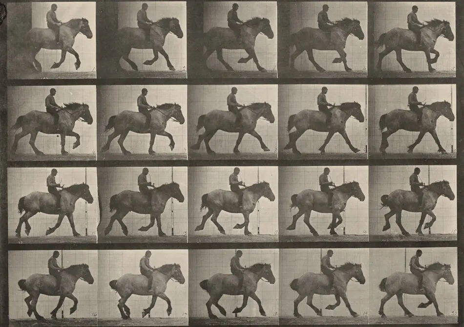 Plate Number 615. "Hansel" cantering, bareback by Eadweard Muybridge