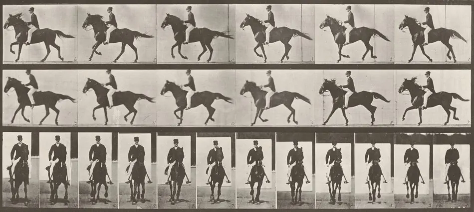 Plate Number 618. "Middleton" cantering, saddled by Eadweard Muybridge