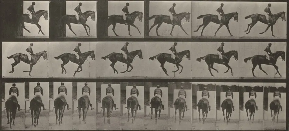 Plate Number 620. "Annie G." cantering, saddled by Eadweard Muybridge
