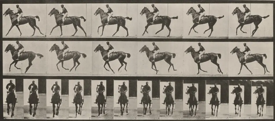 Plate Number 621. "Annie G." cantering, saddled by Eadweard Muybridge