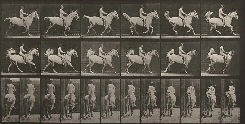 Plate Number 622. "Smith" cantering, saddled; rider nude by Eadweard Muybridge