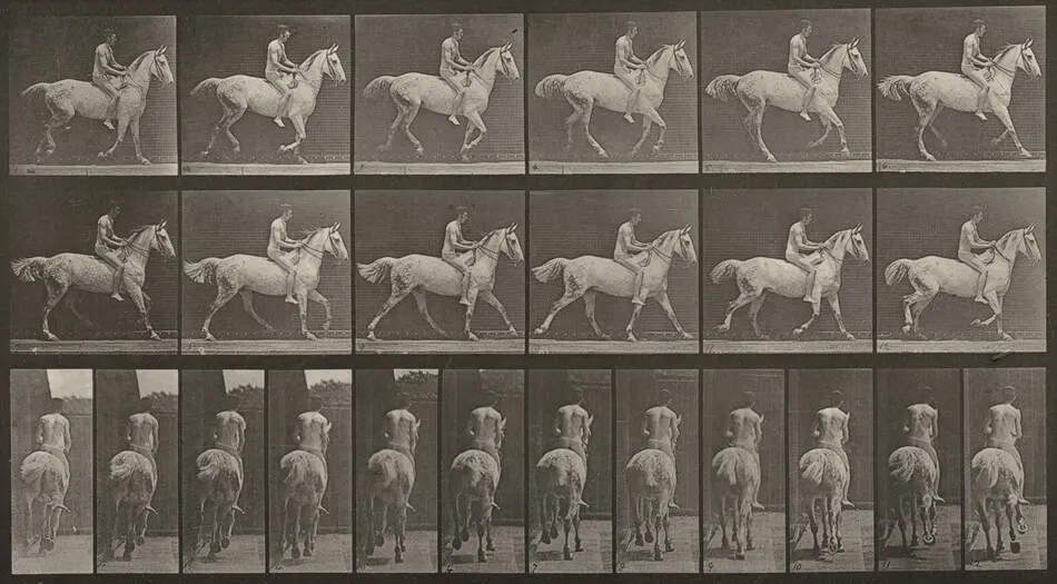 Plate Number 623. "Smith" cantering, bareback; rider nude by Eadweard Muybridge