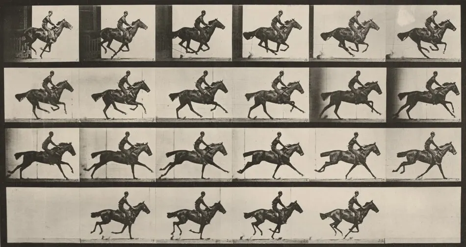 Plate Number 625. "Bouquet" galloping by Eadweard Muybridge