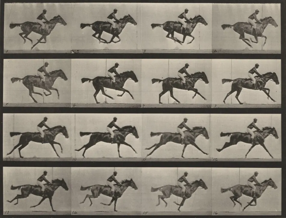 Plate Number 626. "Annie G." galloping by Eadweard Muybridge