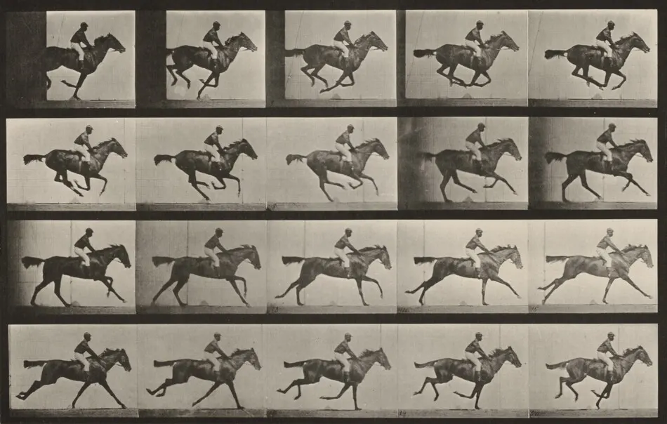 Plate Number 627. "Annie G." galloping by Eadweard Muybridge