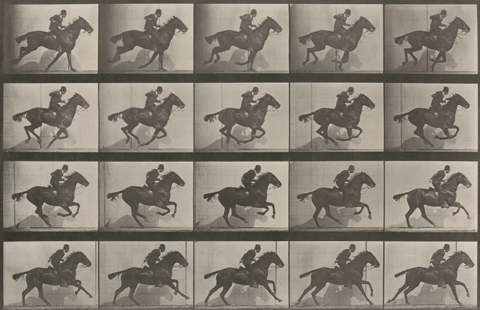 Plate Number 628. "Daisy" galloping by Eadweard Muybridge