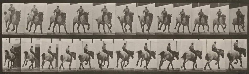 Plate Number 629. "Hansel" galloping, bareback by Eadweard Muybridge
