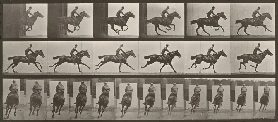 Plate Number 633. "Bouquet" galloping, saddled by Eadweard Muybridge