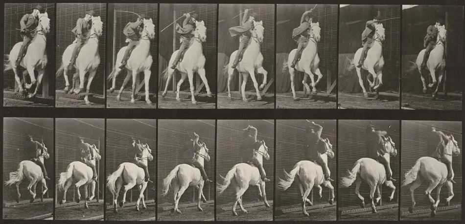 Plate Number 634. "Dan" galloping, saddled by Eadweard Muybridge