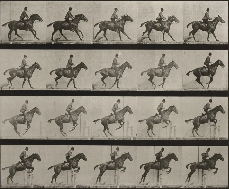 Plate Number 636. "Daisy" jumping a hurdle, saddled, preparing for the leap by Eadweard Muybridge