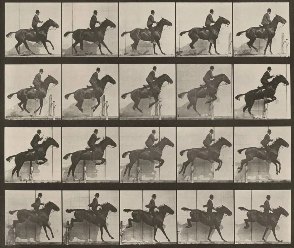 Plate Number 638. "Daisy" jumping a hurdle, saddled by Eadweard Muybridge