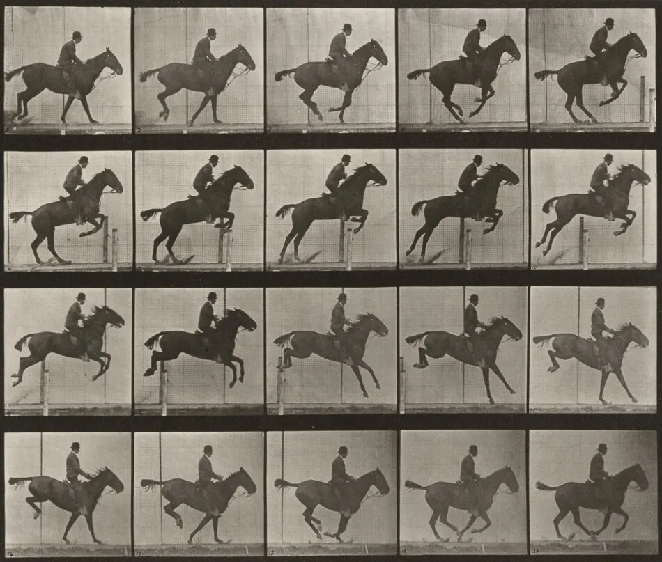 Plate Number 639. "Daisy" jumping a hurdle, saddled by Eadweard Muybridge