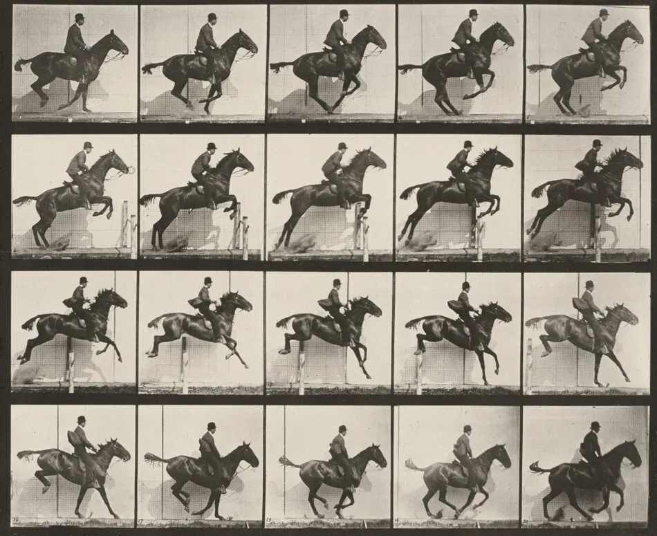 Plate Number 640. "Daisy" jumping a hurdle, saddled by Eadweard Muybridge