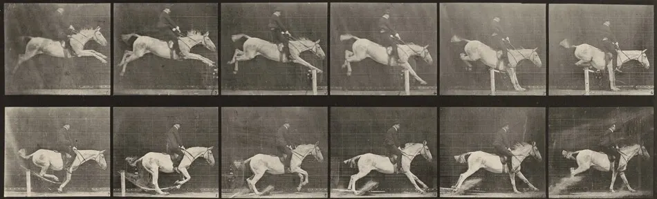 Plate Number 641. "Pandora" jumping a hurdle, saddled, knocking over the hurdle and landing by Eadweard Muybridge