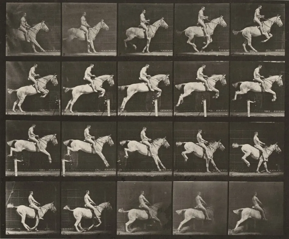 Plate Number 642. "Pandora" jumping a hurdle, saddled; rider nude by Eadweard Muybridge