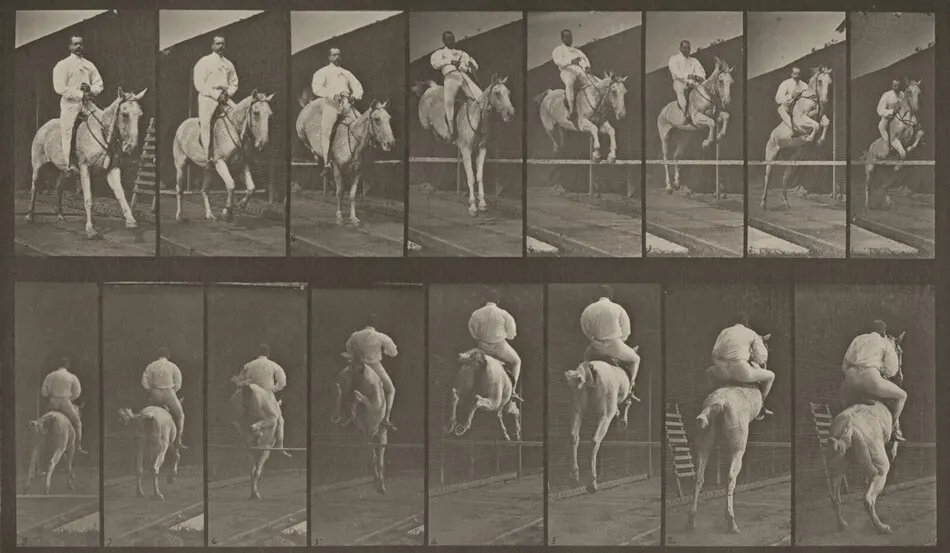 Plate Number 644. "Pandora" jumping a hurdle, saddled, clearing, landing and knocking over the hurdle; rider by Eadweard Muybridge