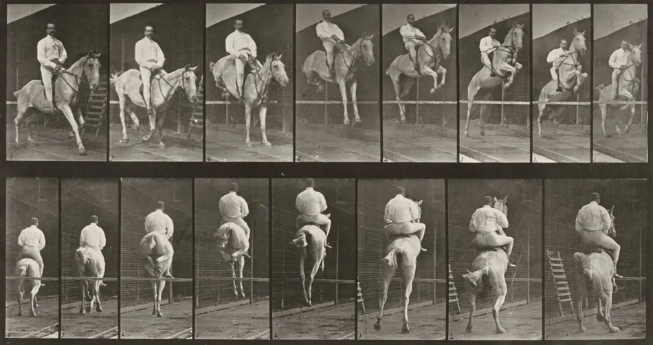Plate Number 645. "Pandora" jumping a hurdle, saddled, clearing and landing by Eadweard Muybridge