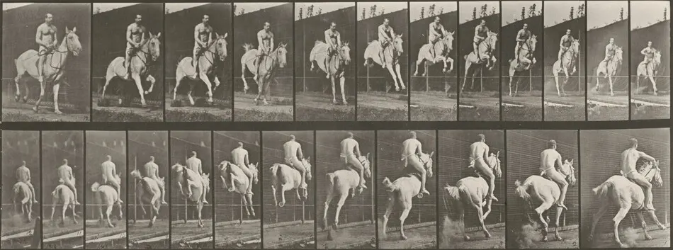 Plate Number 646. "Pandora" jumping a hurdle, saddled; rider nude by Eadweard Muybridge